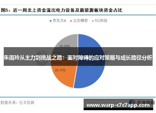 朱雨玲从主力到挑战之路：面对障碍的应对策略与成长路径分析