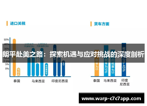 朗平赴美之路：探索机遇与应对挑战的深度剖析